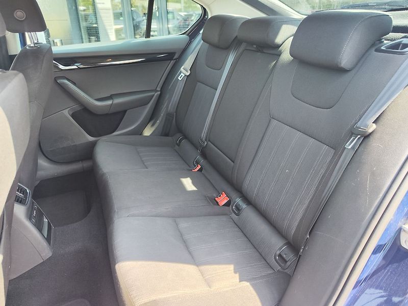 Škoda Octavia 2.0 TDI/110kW Style 4x4 - fotka 10 z 31