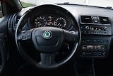 Škoda Fabia 1.2 TSi MONTE CARLO,KLIMA,TEMP - náhled 12