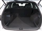 Škoda Kodiaq (2025) SPORTLINE 2.0TDI 142KW 4x4 DSG - náhled 43