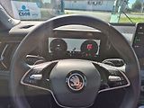 Škoda Kodiaq 2,0 TDI DSG 4x4 142kW, Exclusi - náhled 19