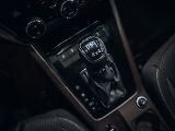 Škoda Octavia Scout 4x4 2,0 TDI - náhled 10