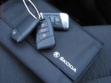 Škoda Superb (2017) 2.0 TDi, Ambition, DSG, navi - náhled 24