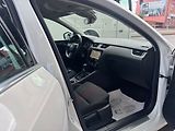 Škoda Octavia 2.0TDi-135KW/2019/CZ.4X4-ZÁRUK - náhled 29