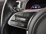 Kia Sportage (2019) 1.6 CRDi, Tempomat - náhled 16