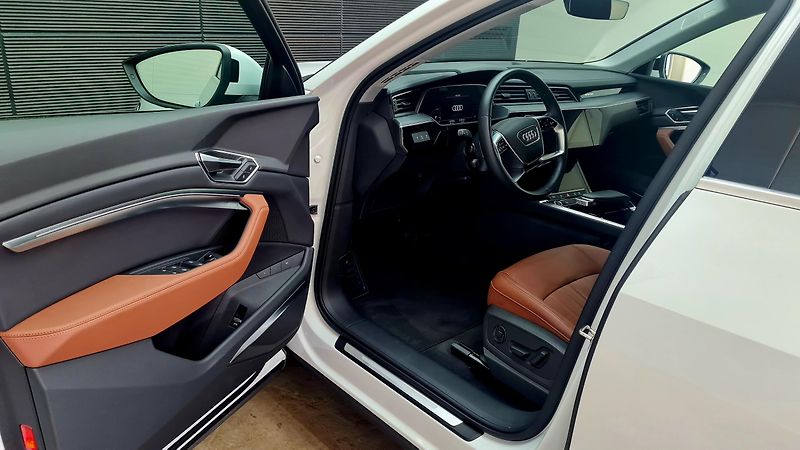 Audi e-tron (2022) 55 ADVANCE - fotka 11 z 15