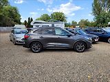 Ford Kuga 2,5 Rezervace! HEV,140kw,ST-li - náhled 3