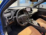 Lexus UX 250h 2,0i 112kW hybrid automat navi - náhled 12