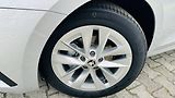 Škoda Octavia Combi Style 2,0 TDI/110kW DSG/ - náhled 12