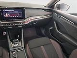 Škoda Octavia (2021) RS 2.0 TDI - náhled 8