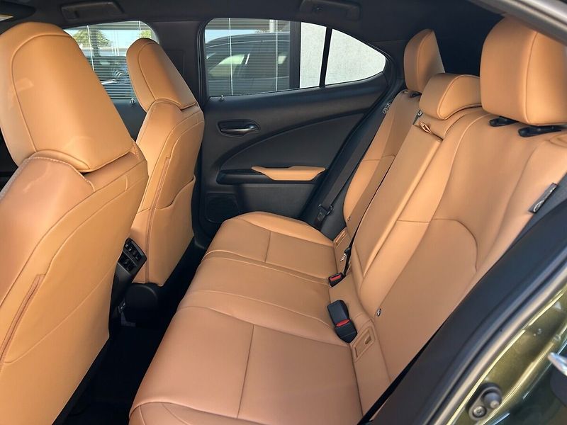 Lexus UX 300h 300h 2.0 HEV F SPORT DESIGN - fotka 10 z 11