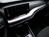 Škoda Octavia 2,0 TDI 110kW DSG CZ 1.Maj DPH - náhled 24