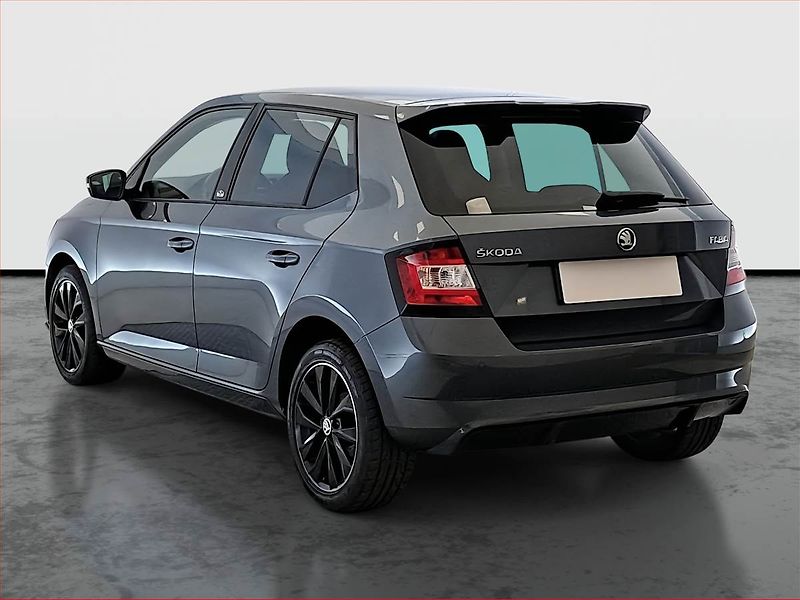 Škoda Fabia (2017) Monte Carlo 1.2 TSI - fotka 4 z 22
