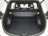 Toyota RAV4 (2016) 2.5 Hybrid, Automat - náhled 14