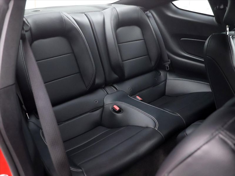 Ford Mustang 5,0 Ti-VCT V8 310kW - fotka 13 z 40