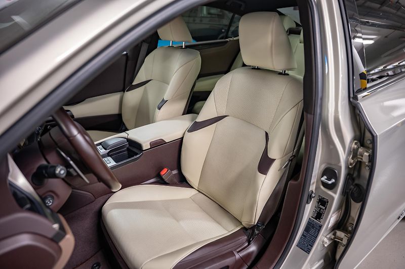 Lexus ES 300h (2020) Luxury, LED, 360, DPH - fotka 16 z 27