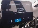 Ford Fiesta (2018) 1.1, Serv.kniha, Vyhř. sedaček - náhled 20