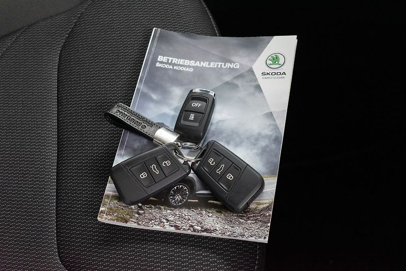 Škoda Kodiaq 2.0 TDI 110 DSG*TAŽNÉ*WEBASTO* - fotka 36 z 44