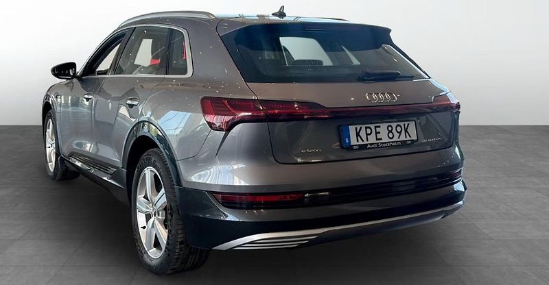 Audi e-tron 55 Quattro Kam Panorama HuD - fotka 3 z 17