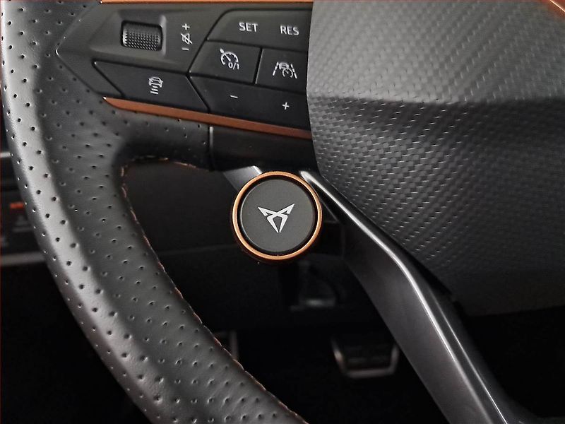 Cupra Formentor (2024) 2.0 TSI VZ 4Drive - fotka 20 z 21