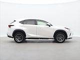 Lexus NX 300h 2,5 145 kW 4WD Prestige - náhled 8