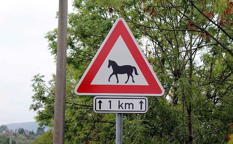 TOP Rock park v Gibraltaru a neobvyklá výstražná značky Hadi s dodatkovou cedulí Slow - zpomal.