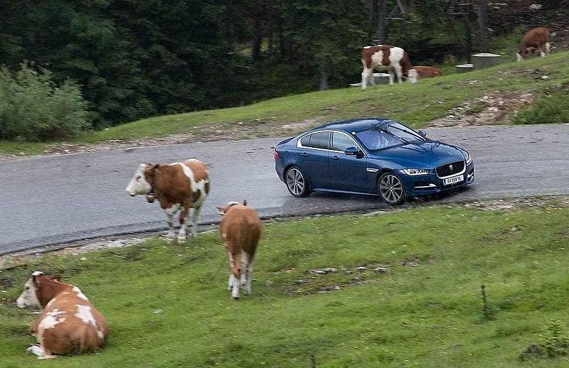 Jaguar XE.