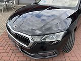 Škoda Octavia (2022) 2.0TDi DSG LED Navi Kamera - náhled 38