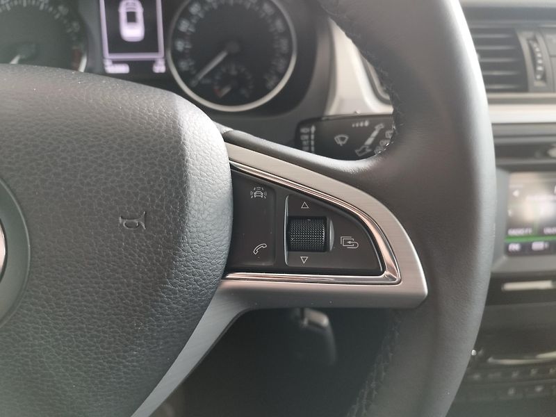 Škoda Rapid (2015) TDI,66KW,DSG,ALU,SERVISKA - fotka 29 z 32