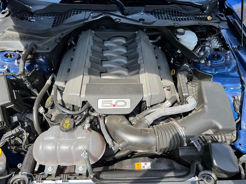 Ford Mustang (2017) 5.0GT V8 | Původ ČR - fotka 9 z 10