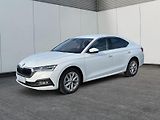 Škoda Octavia (2023) STYLE 2.0TDI 85kW CZ DPH - náhled 1