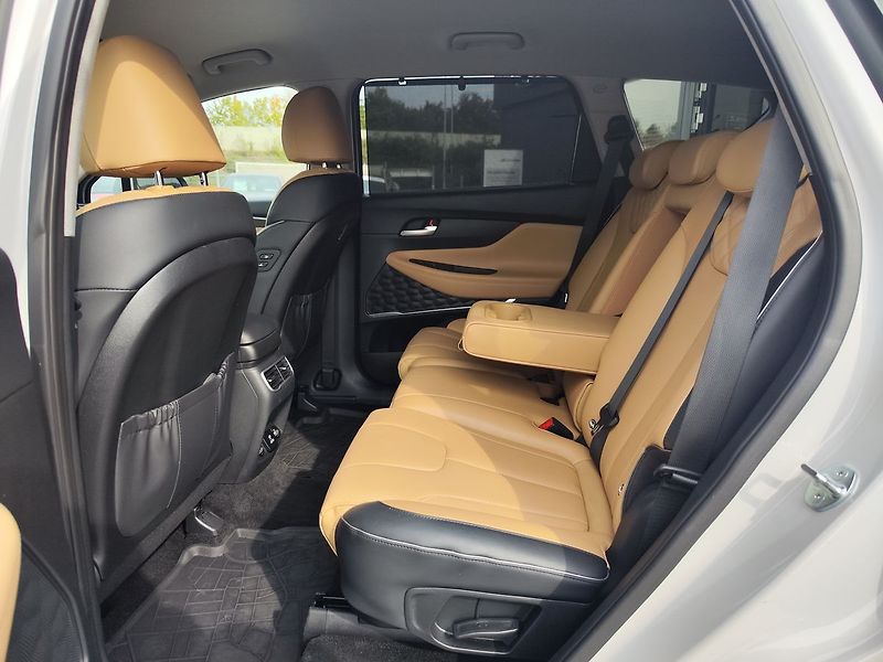Hyundai Santa Fe 2.2 TDCI/142kW Style Premium - fotka 14 z 38
