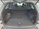 Škoda Kodiaq 2,0 TSi DSG 4x4 RS Tažné z. We - náhled 12