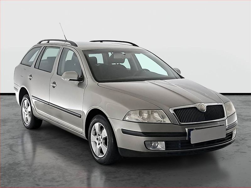 Škoda Octavia (2008) 1.9 TDI, Park. senzory - fotografie inzerátu