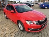 Škoda Octavia (2019) III 1.6 TDi ČR - náhled 1