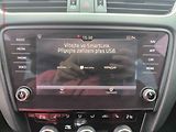 Škoda Octavia (2019) 2.0TDI, DSG, navi, LED - náhled 14