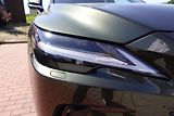 Lexus RX 450h plus RX450h+ Plug-in Luxury Panoram - náhled 43