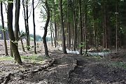 Na trase D11 Jaroměř - Trutnov skončilo kácení dřevin.