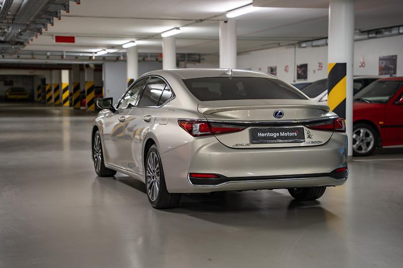Lexus ES 300h (2020) Luxury, LED, 360, DPH - fotka 5 z 27