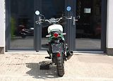 Royal Enfield (2026) Bear 650 TWO FOUR NINE - náhled 8