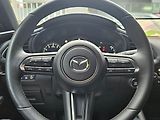 Mazda 3 2.5l e-SKYACTIV G, 1.majitel - náhled 16