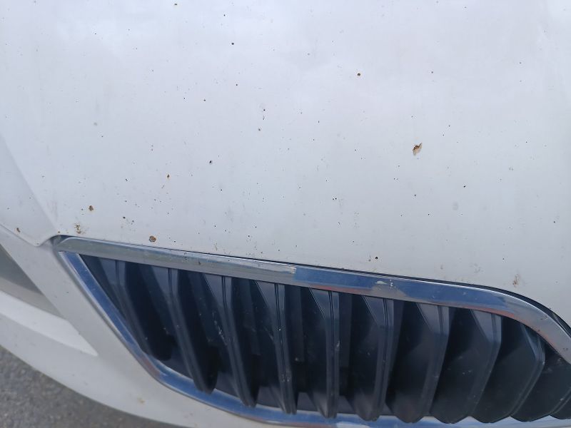 Škoda Octavia III 1.6 TDI - fotka 21 z 56