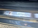 Seat Leon Cupra 280 2.0TSi DSG KŮŽE ALU - náhled 12