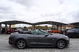 Ford Mustang GT 5.0 Premium /AT/kůže/440 PS - náhled 13