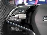 Škoda Kamiq (2025) MONTE CARLO 1.0TSI 85KW DSG PA - náhled 20