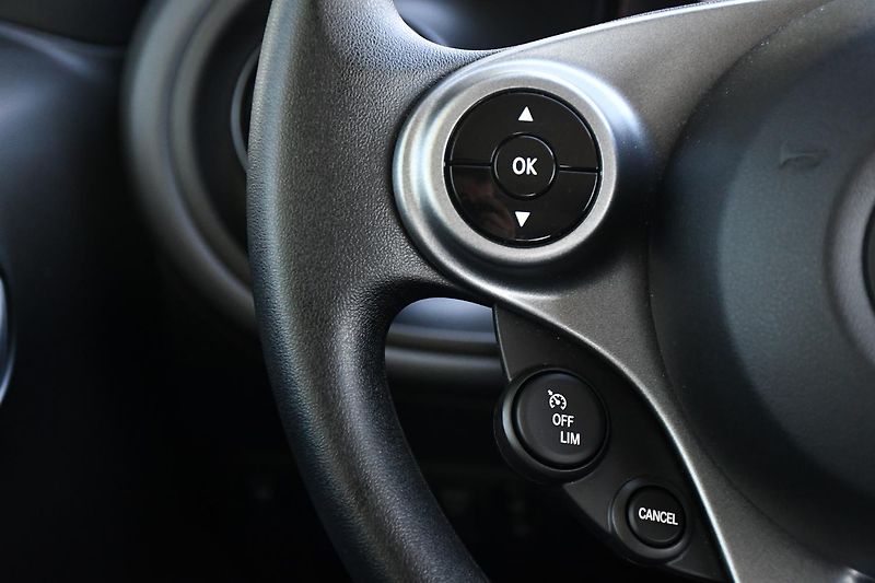 Smart Fortwo EQ - fotka 16 z 25