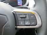 Jeep Avenger 1,2 Turbo AUT Summit JBL ČR - náhled 23