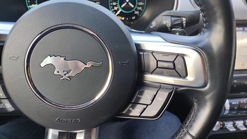 Ford Mustang (2019) Convertible 5.0 Ti-VCT V8 GT,A - fotka 16 z 26