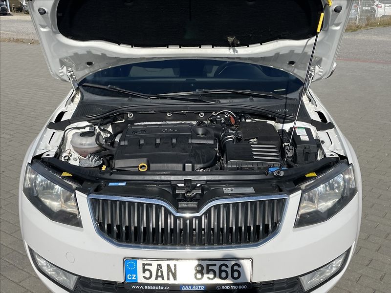 Škoda Octavia 2,0 TDi 135kw DSG 4x4 Klimatr. - fotka 21 z 34