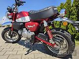 Honda Monkey (2020) - náhled 8
