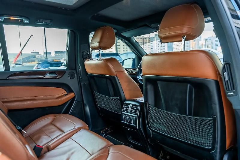 Mercedes-Benz GLS (2019) Rodinné SUV V6 - fotka 9 z 13